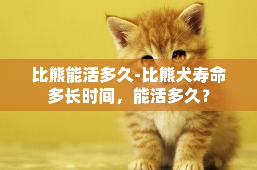 比熊能活多久-比熊犬壽命多長時間，能活多久？