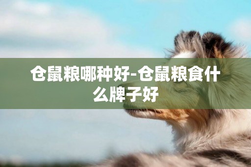 倉鼠糧哪種好-倉鼠糧食什么牌子好