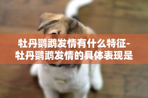 牡丹鸚鵡發情有什么特征-牡丹鸚鵡發情的具體表現是什么?