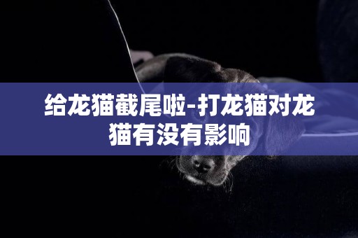 給龍貓截尾啦-打龍貓對龍貓有沒有影響