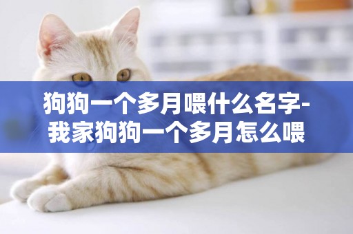 狗狗一個多月喂什么名字-我家狗狗一個多月怎么喂