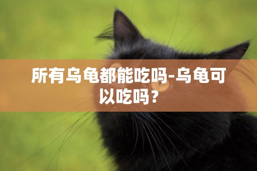 所有烏龜都能吃嗎-烏龜可以吃嗎？