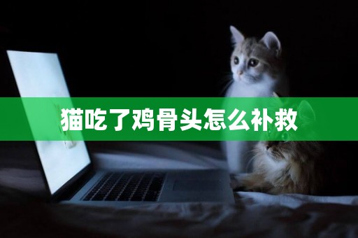 貓吃了雞骨頭怎么補救