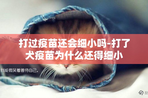 打過疫苗還會細小嗎-打了犬疫苗為什么還得細小