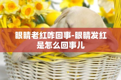 眼睛老紅咋回事-眼睛發紅是怎么回事兒