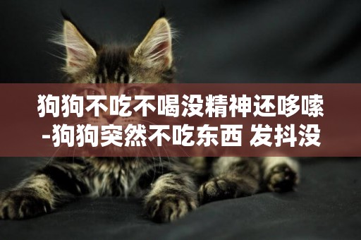 狗狗不吃不喝沒精神還哆嗦-狗狗突然不吃東西 發抖沒精神