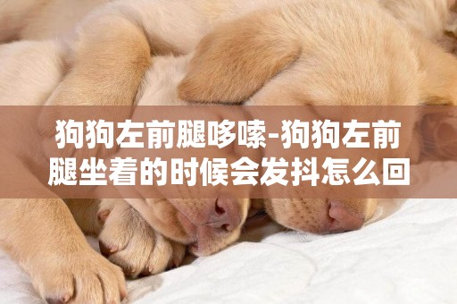 狗狗左前腿哆嗦-狗狗左前腿坐著的時候會發抖怎么回事