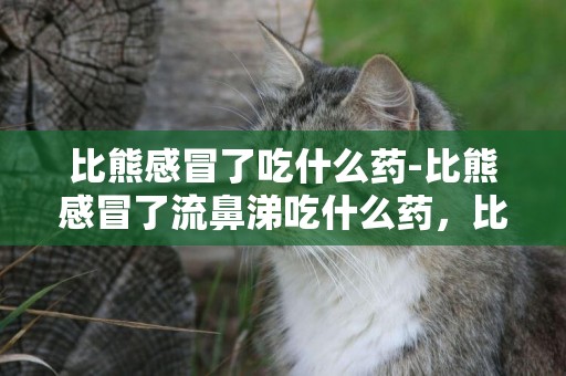 比熊感冒了吃什么藥-比熊感冒了流鼻涕吃什么藥，比熊感冒了怎么辦
