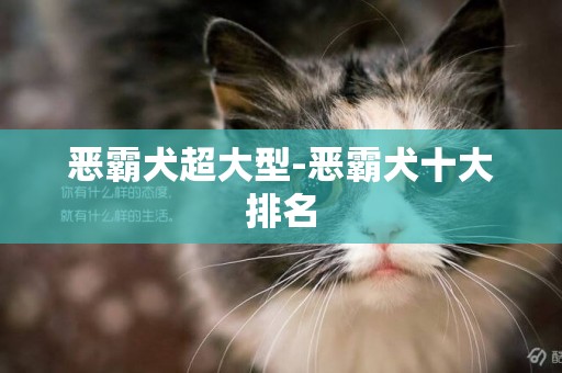 惡霸犬超大型-惡霸犬十大排名