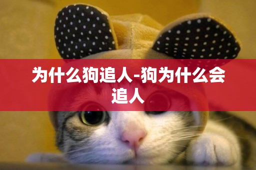 為什么狗追人-狗為什么會追人