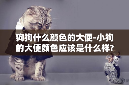 狗狗什么顏色的大便-小狗的大便顏色應該是什么樣?
