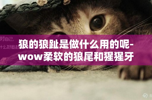 狼的狼趾是做什么用的呢-wow柔軟的狼尾和猩猩牙是干什么的
