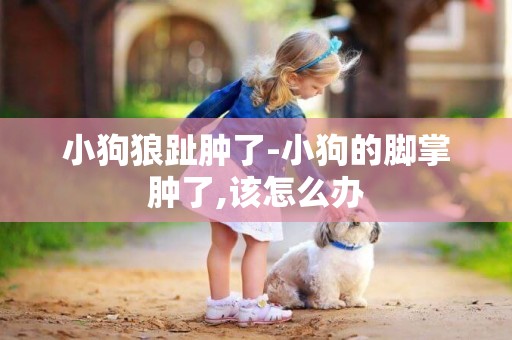 小狗狼趾腫了-小狗的腳掌腫了,該怎么辦