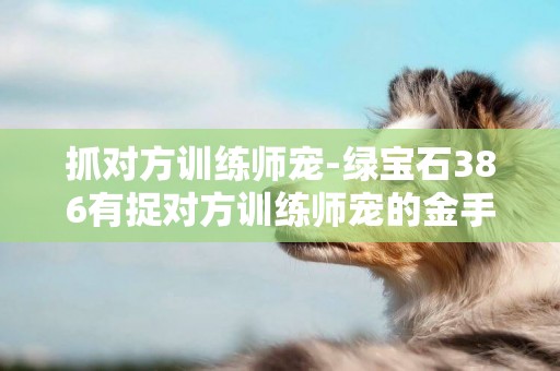 抓對方訓練師寵-綠寶石386有捉對方訓練師寵的金手指或方法嗎?