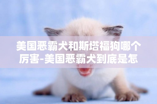 美國惡霸犬和斯塔福狗哪個厲害-美國惡霸犬到底是怎樣一種狗