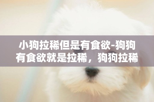 小狗拉稀但是有食欲-狗狗有食欲就是拉稀，狗狗拉稀但是食欲很好