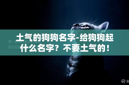 土氣的狗狗名字-給狗狗起什么名字？不要土氣的！