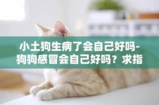 小土狗生病了會自己好嗎-狗狗感冒會自己好嗎？求指教