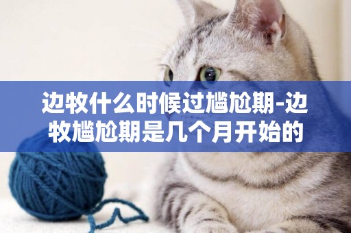邊牧什么時候過尷尬期-邊牧尷尬期是幾個月開始的