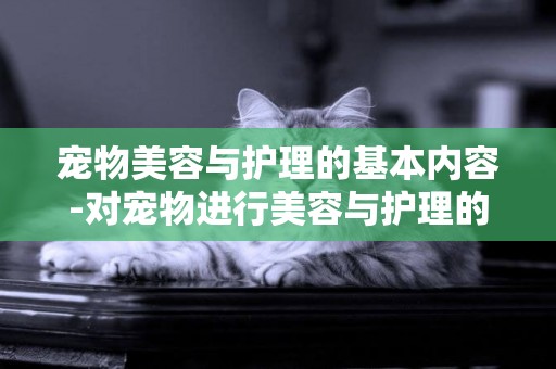 寵物美容與護理的基本內容-對寵物進行美容與護理的重要性有哪些?