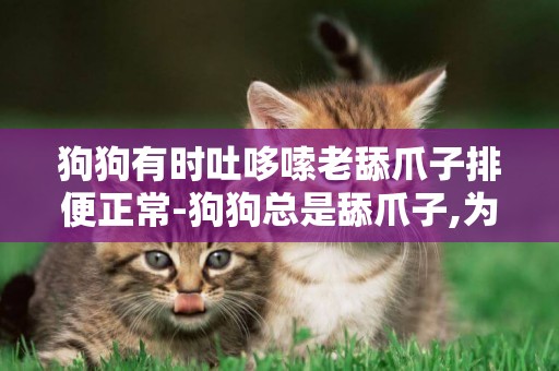 狗狗有時吐哆嗦老舔爪子排便正常-狗狗總是舔爪子,為什么