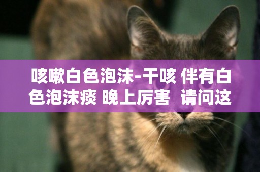 咳嗽白色泡沫-干咳 伴有白色泡沫痰 晚上厲害  請問這是為什么？