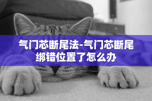 氣門芯斷尾法-氣門芯斷尾綁錯位置了怎么辦