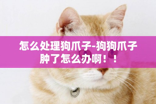 怎么處理狗爪子-狗狗爪子腫了怎么辦啊！！