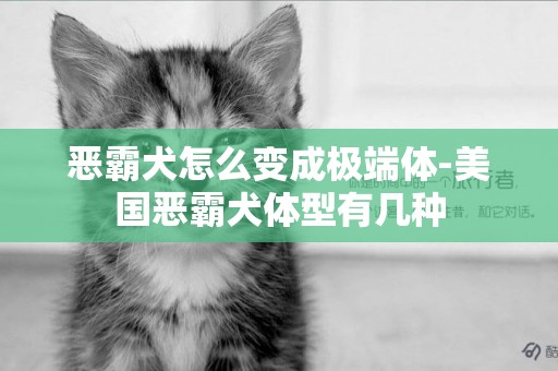 惡霸犬怎么變成極端體-美國惡霸犬體型有幾種
