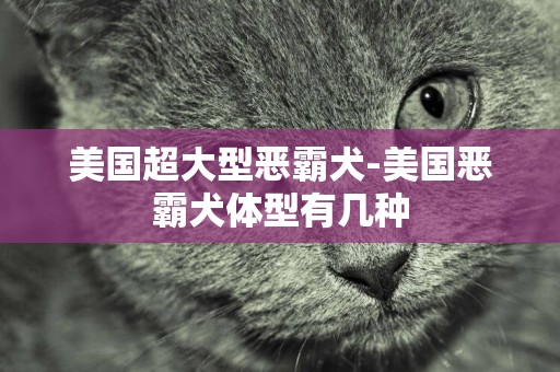 美國超大型惡霸犬-美國惡霸犬體型有幾種