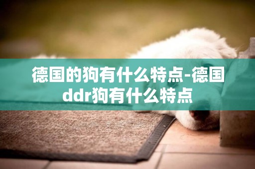 德國的狗有什么特點-德國ddr狗有什么特點