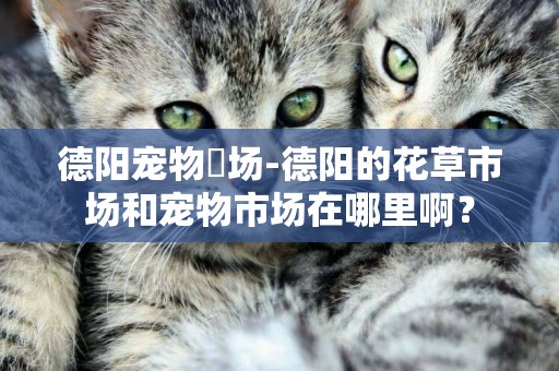 德陽寵物巿場-德陽的花草市場和寵物市場在哪里啊？