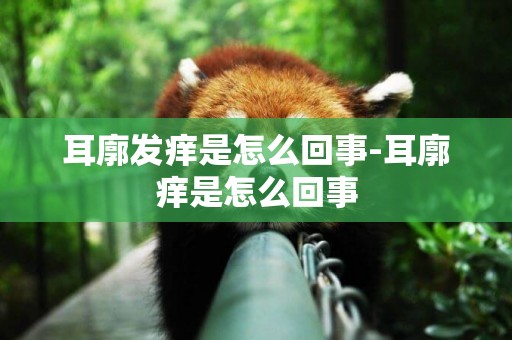 耳廓發癢是怎么回事-耳廓癢是怎么回事