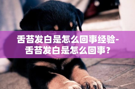 舌苔發白是怎么回事經驗-舌苔發白是怎么回事？