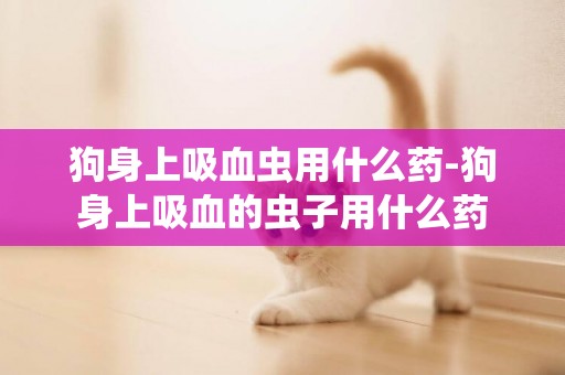狗身上吸血蟲用什么藥-狗身上吸血的蟲子用什么藥