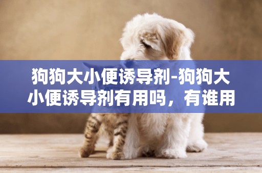 狗狗大小便誘導劑-狗狗大小便誘導劑有用嗎，有誰用過