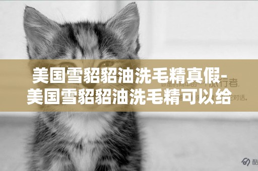 美國雪貂貂油洗毛精真假-美國雪貂貂油洗毛精可以給金毛用嗎