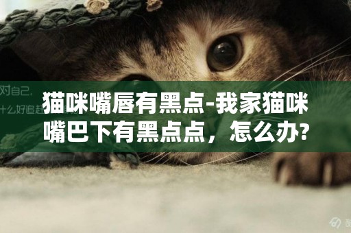 貓咪嘴唇有黑點-我家貓咪嘴巴下有黑點點，怎么辦?