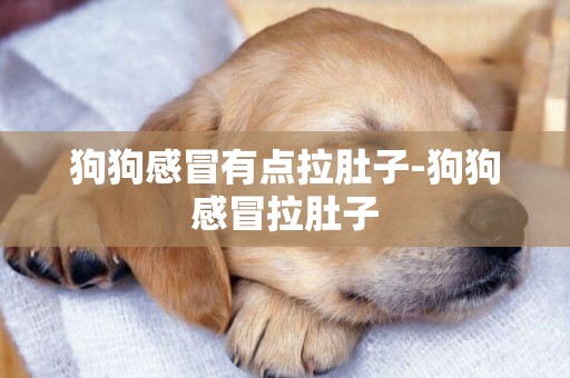 狗狗感冒有點拉肚子-狗狗感冒拉肚子