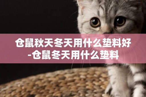倉鼠秋天冬天用什么墊料好-倉鼠冬天用什么墊料