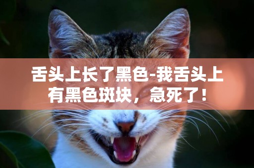 舌頭上長了黑色-我舌頭上有黑色斑塊，急死了！