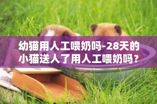 幼貓用人工喂奶嗎-28天的小貓送人了用人工喂奶嗎？