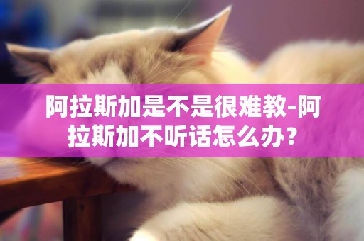 阿拉斯加是不是很難教-阿拉斯加不聽話怎么辦？