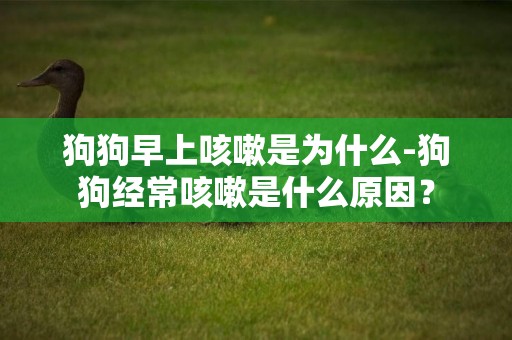 狗狗早上咳嗽是為什么-狗狗經常咳嗽是什么原因？