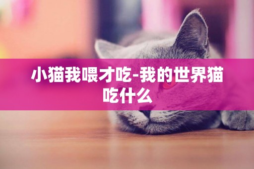 小貓我喂才吃-我的世界貓吃什么