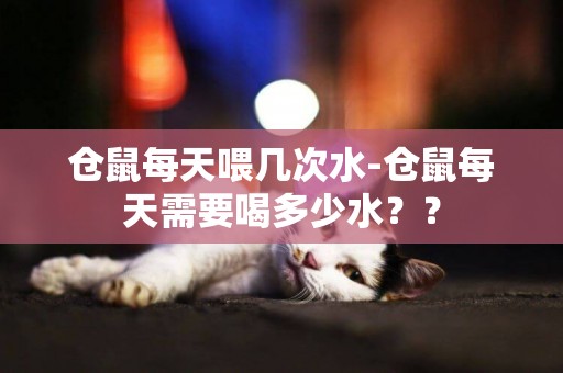 倉鼠每天喂幾次水-倉鼠每天需要喝多少水？？