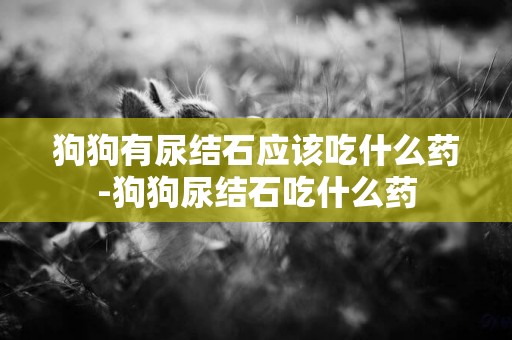 狗狗有尿結石應該吃什么藥-狗狗尿結石吃什么藥
