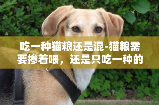 吃一種貓糧還是混-貓糧需要摻著喂，還是只吃一種的好？