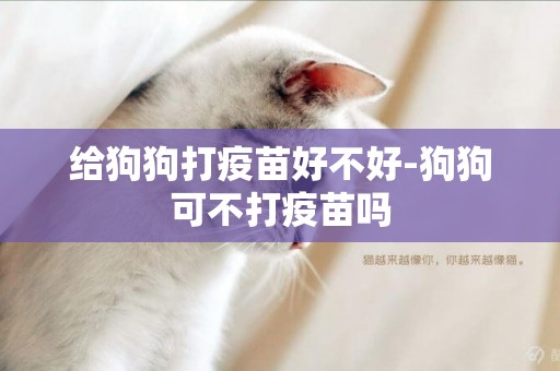 給狗狗打疫苗好不好-狗狗可不打疫苗嗎