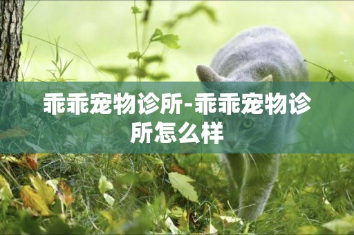 乖乖寵物診所-乖乖寵物診所怎么樣
